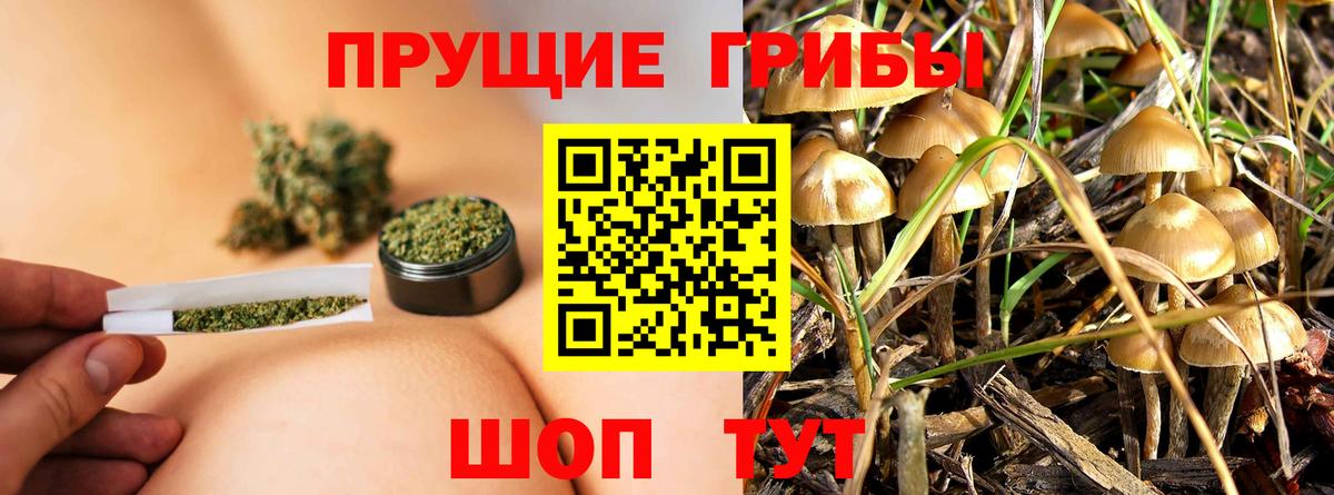 Галлюциногенные грибы Cubensis Клинцы