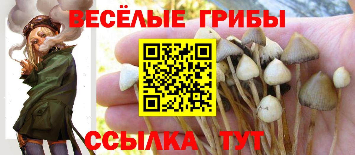 Галлюциногенные грибы Magic Shrooms  Вход с VPN  Клинцы 
